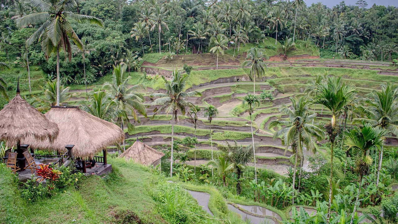 Bali & Malaysia