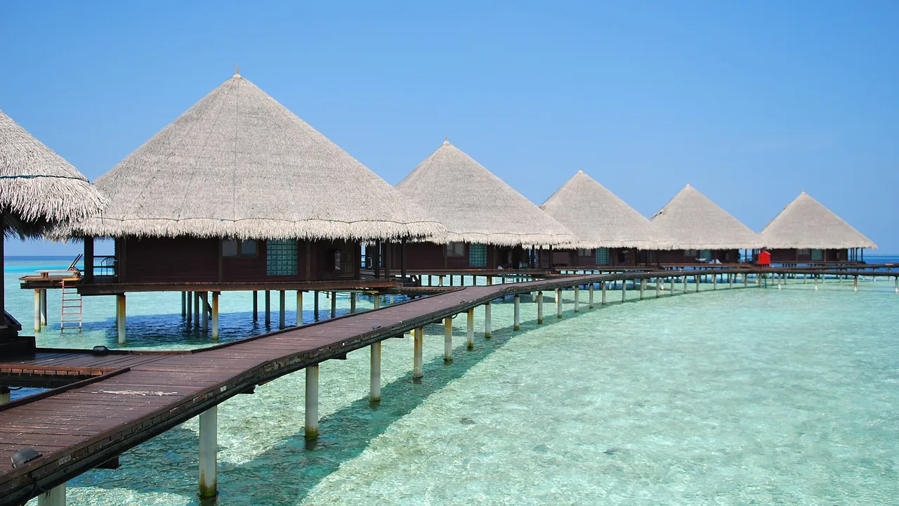 Maldives Honeymoon