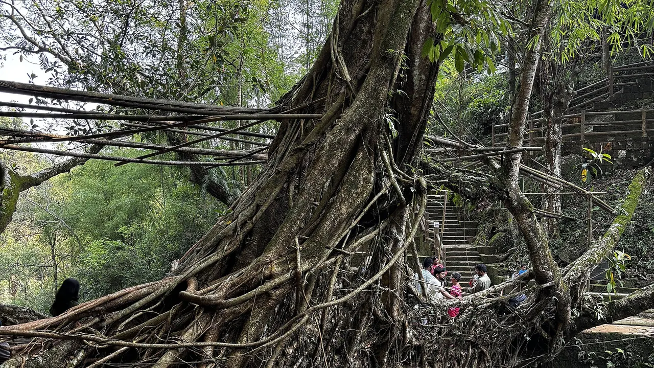 Meghalaya Tour