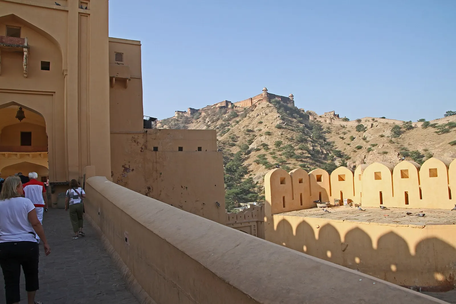 Jaisalmer Group Tour — Christmas & New Year photo 3