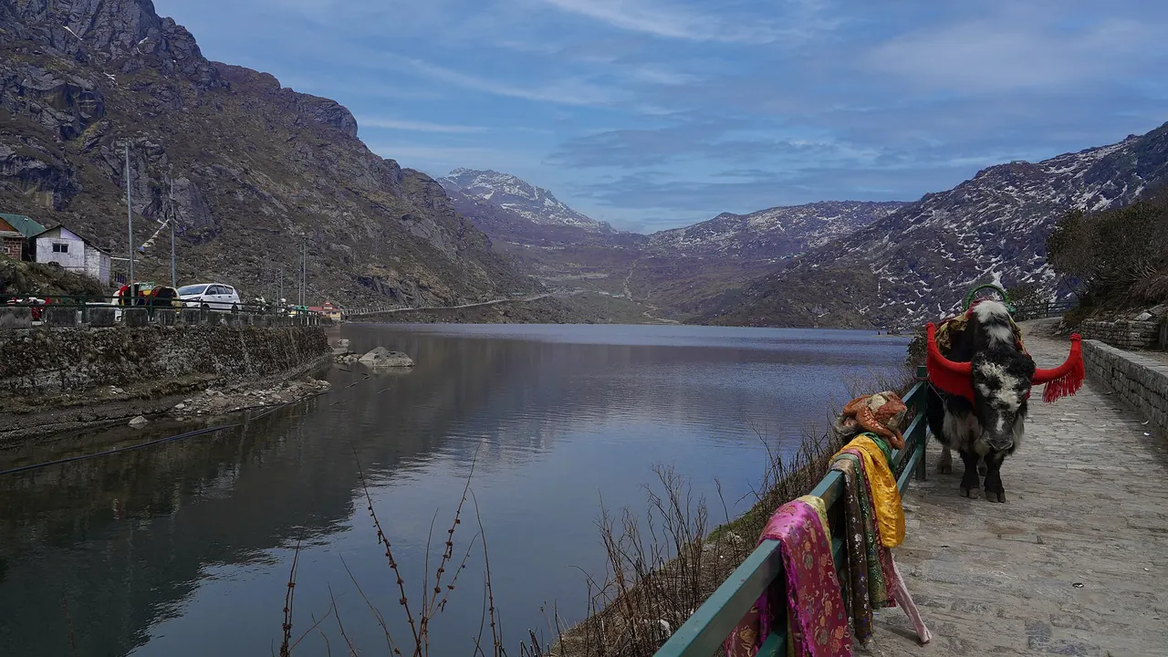 Gangtok & Darjeeling