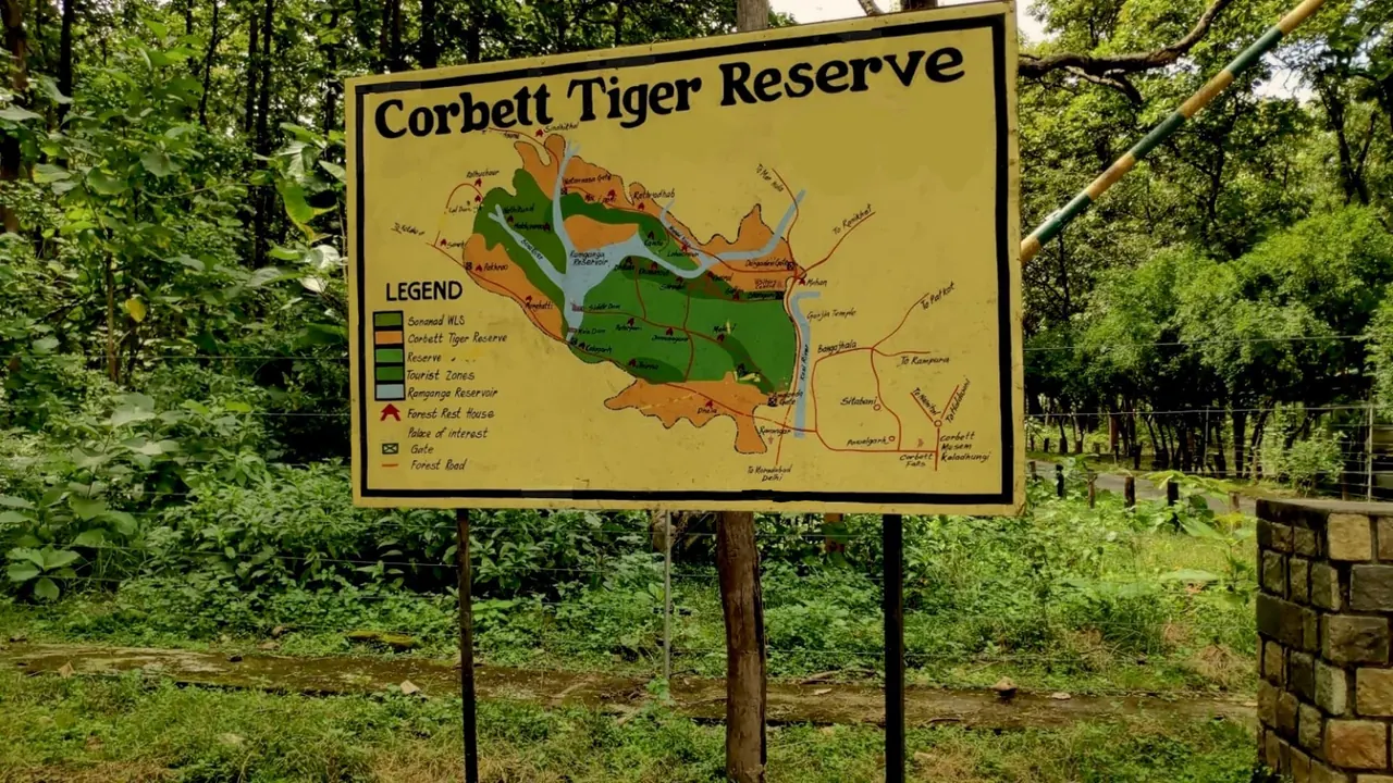Jim Corbett Pool Party