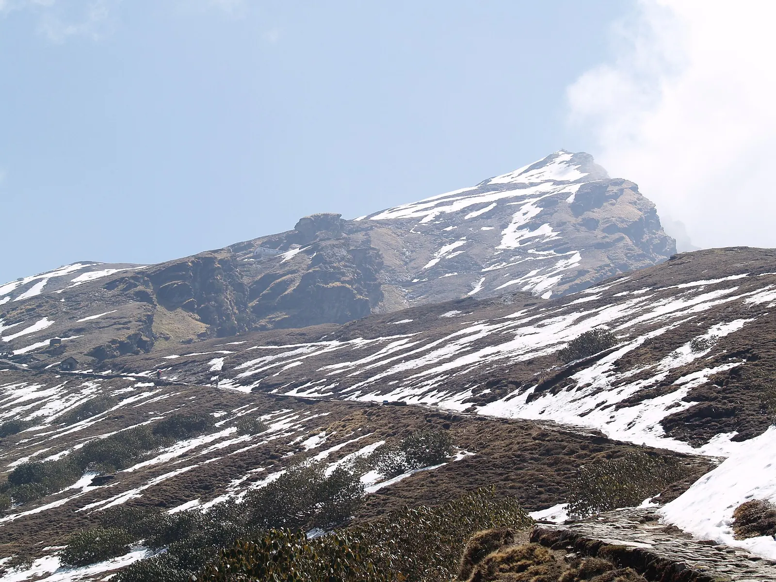 Chopta Tungnath Chandrashila Trek photo 1